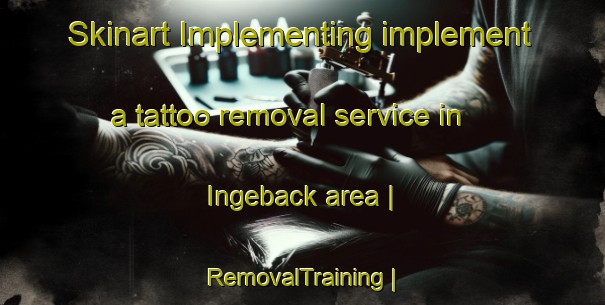 Skinart Implementing implement a tattoo removal service in Ingeback area | RemovalTraining | RemovalClasses | SkinartTraining-Sweden